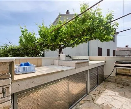 Olive Tree * Medulin