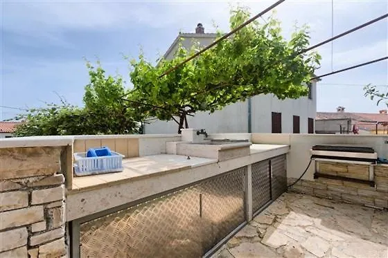 Olive Tree * Medulin